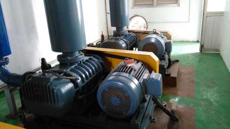 羅茨鼓風機的常見故障及維修