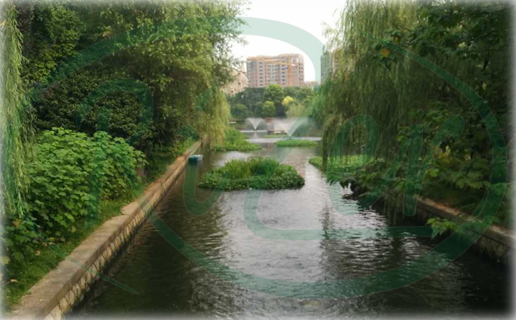 圖一：噴泉曝氣機(jī)配合水生植物進(jìn)行河湖治理