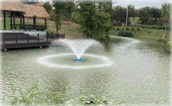 RZ-21-FDS增氧機(jī)效果實(shí)拍