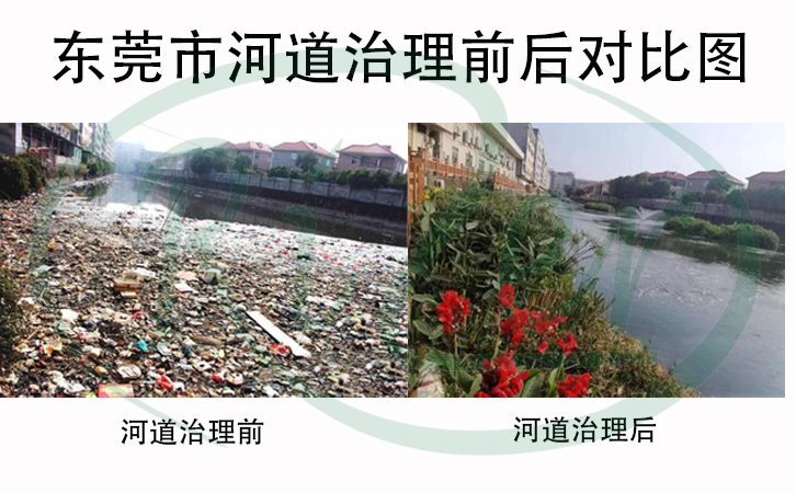 圖五：河道治理前后對(duì)比圖