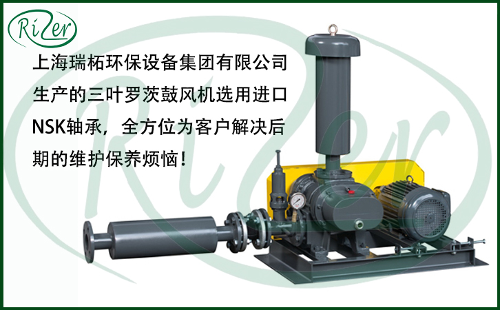 羅茨風(fēng)機(jī)定期檢查方法