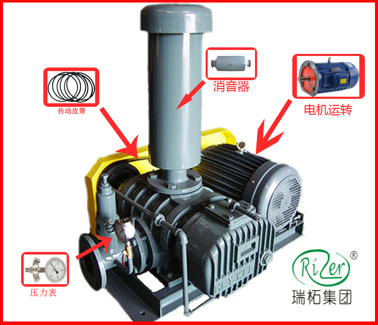 瑞柘羅茨風機結構簡易分解圖
