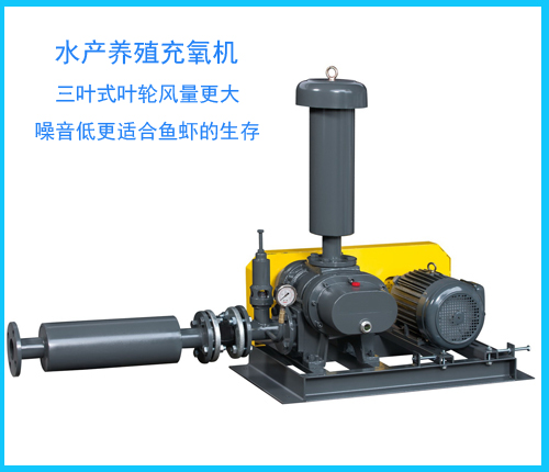 羅茨風(fēng)機(jī)充氧設(shè)備