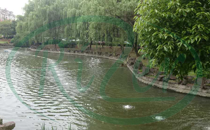 沉水式羅茨鼓風(fēng)機(jī)的缺點 沉水式羅茨鼓風(fēng)機(jī)的缺點