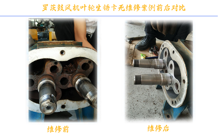 羅茨風機卡死的維修技巧