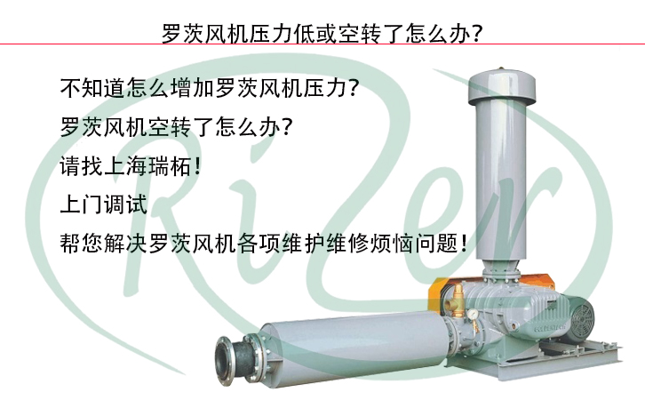 瑞柘羅茨風(fēng)機(jī) 瑞柘羅茨風(fēng)機(jī)