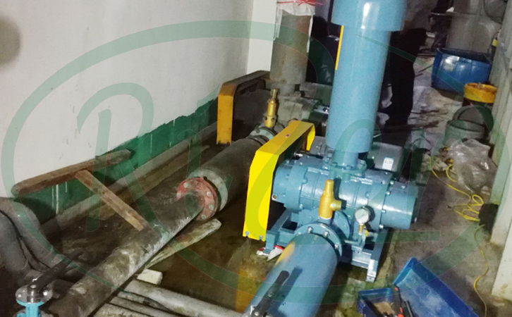 瑞柘羅茨鼓風(fēng)機(jī)