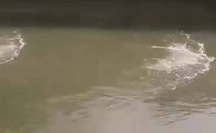 蘇州市政水生態(tài)治理開機效果1