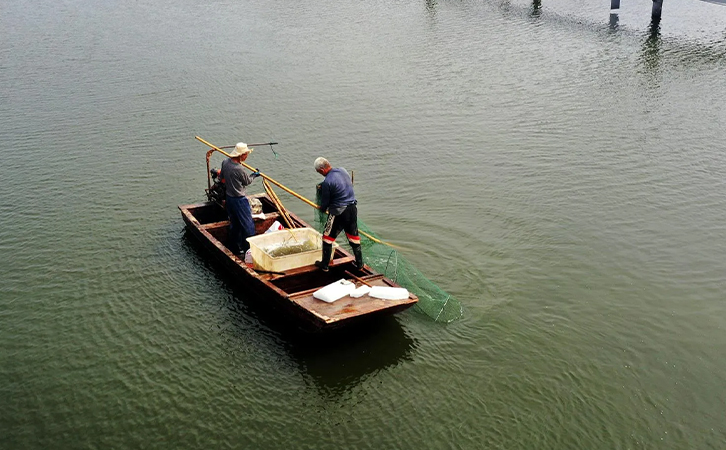水產(chǎn)養(yǎng)殖降溫勢在必行