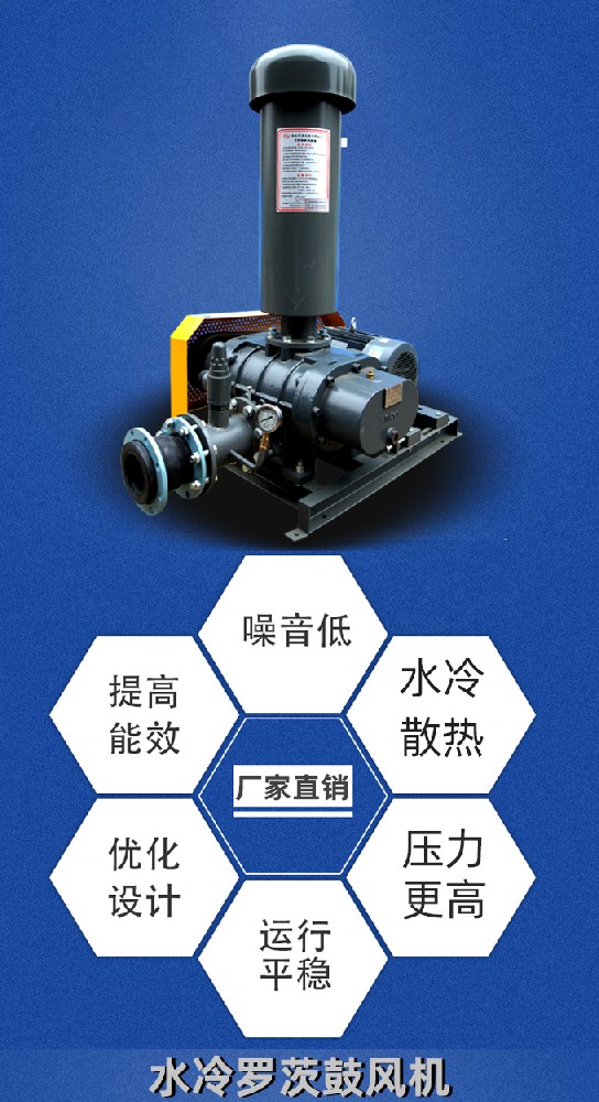 水冷羅茨鼓風(fēng)機(jī)