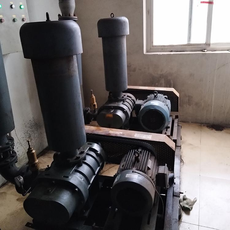 羅茨鼓風(fēng)機