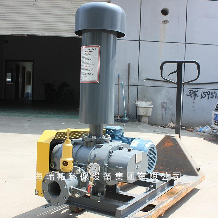 羅茨鼓風(fēng)機